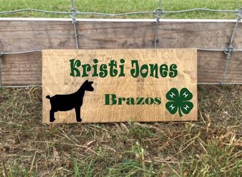 The Aracade Raid/Homestead Stampede 2025 𝚆𝚊𝚝𝚌𝚑 In Your Region
