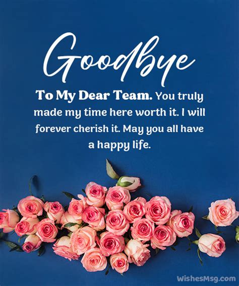 My Teammates 2025 𝚆𝚊𝚝𝚌𝚑 On Cable Subscription
